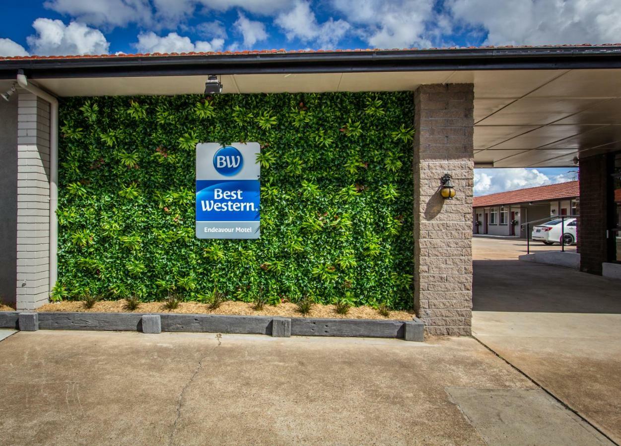 Best Western Endeavour Motel Maitland Eksteriør bilde